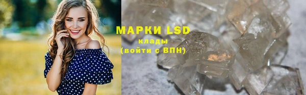 спиды Магас