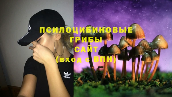 шишки Лихославль