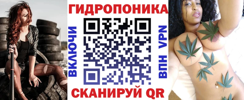 где найти   Ершов  Каннабис Amnesia 